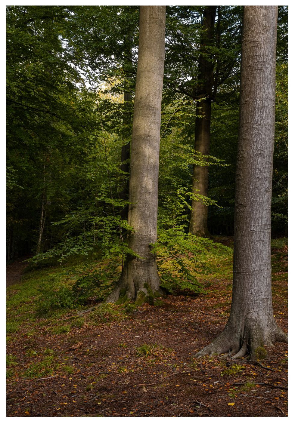 Auderghem, Brussels, Belgium