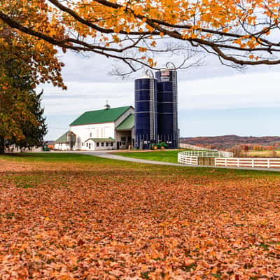 BellVale Farms, USA