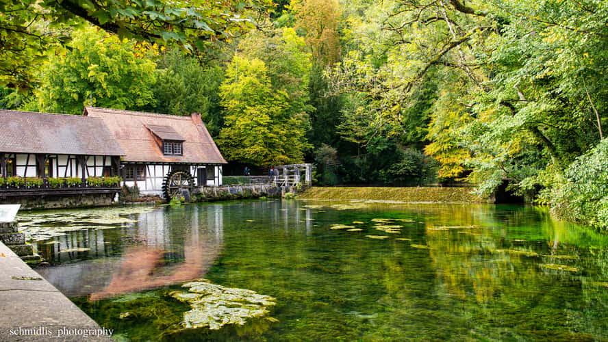 Blautopf hut from the side, Blaubeuren