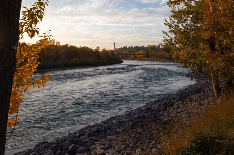 Bow River Pathway Bridge