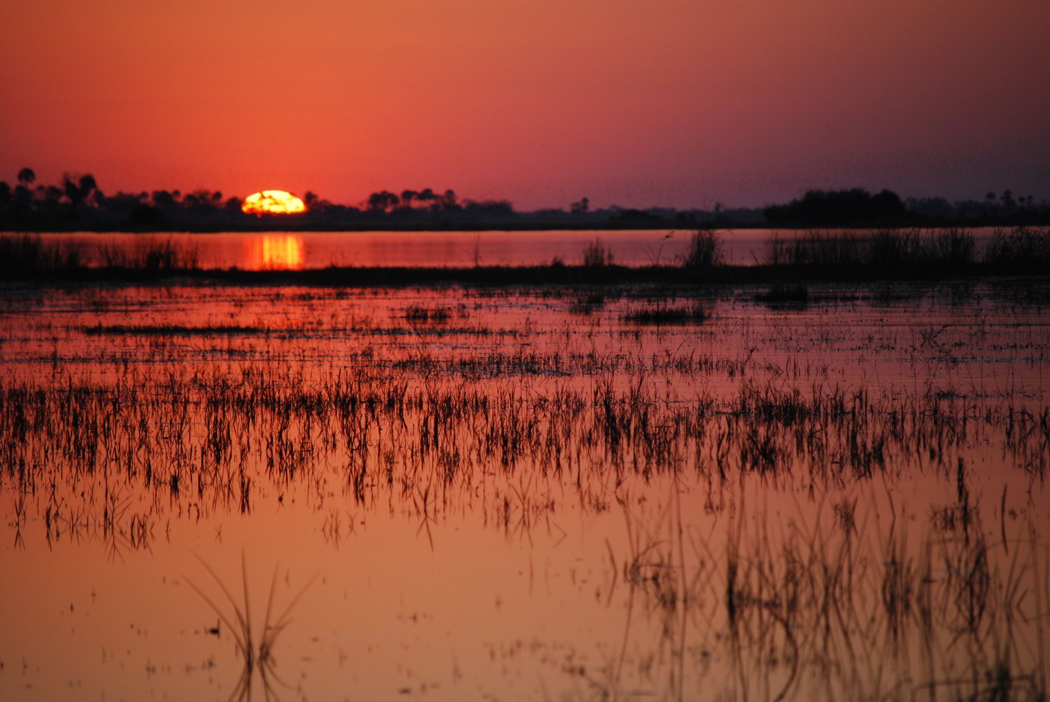 Chobe National Park - Linyanti Wildlife Reserve, Botswana