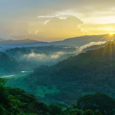 Costa Rican jungle, Costa Rica