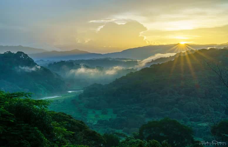 Costa Rican jungle