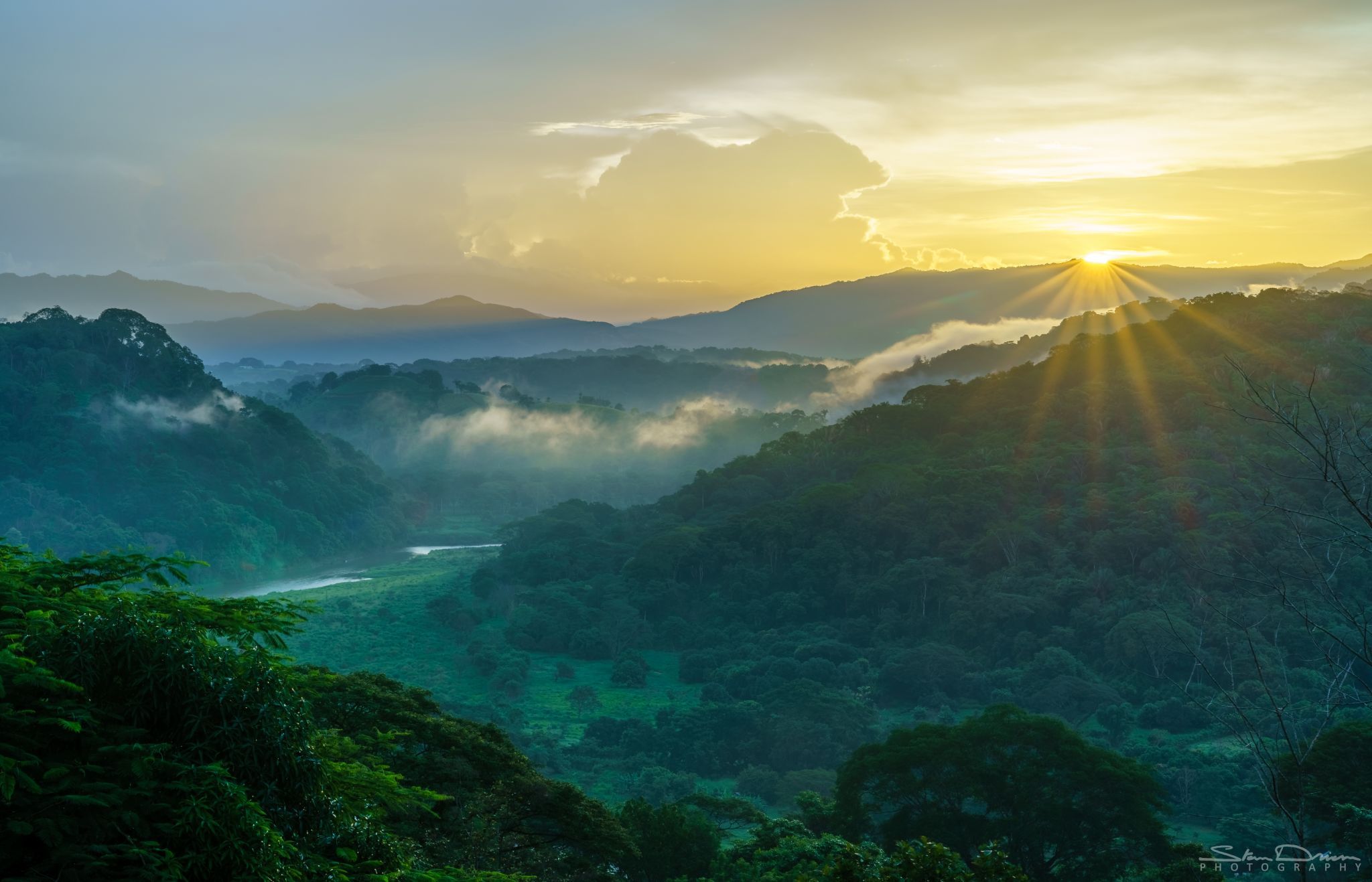 Costa Rican jungle, Costa Rica