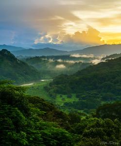 Costa Rican jungle