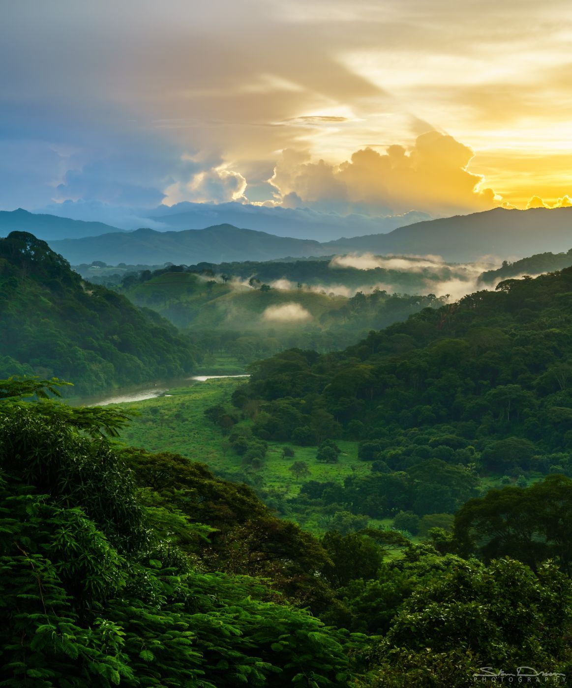 Costa Rican jungle, Costa Rica