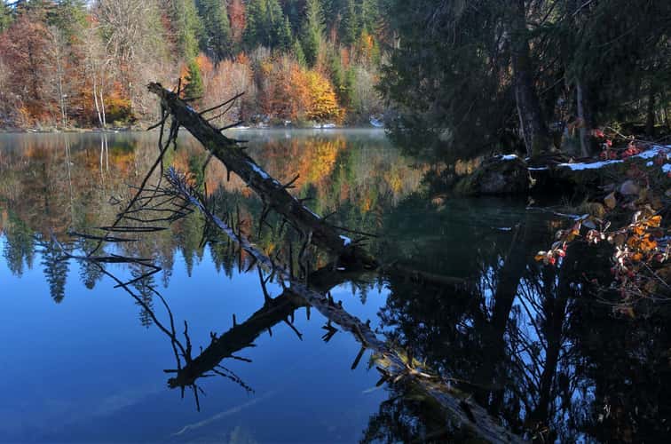 Crestasee