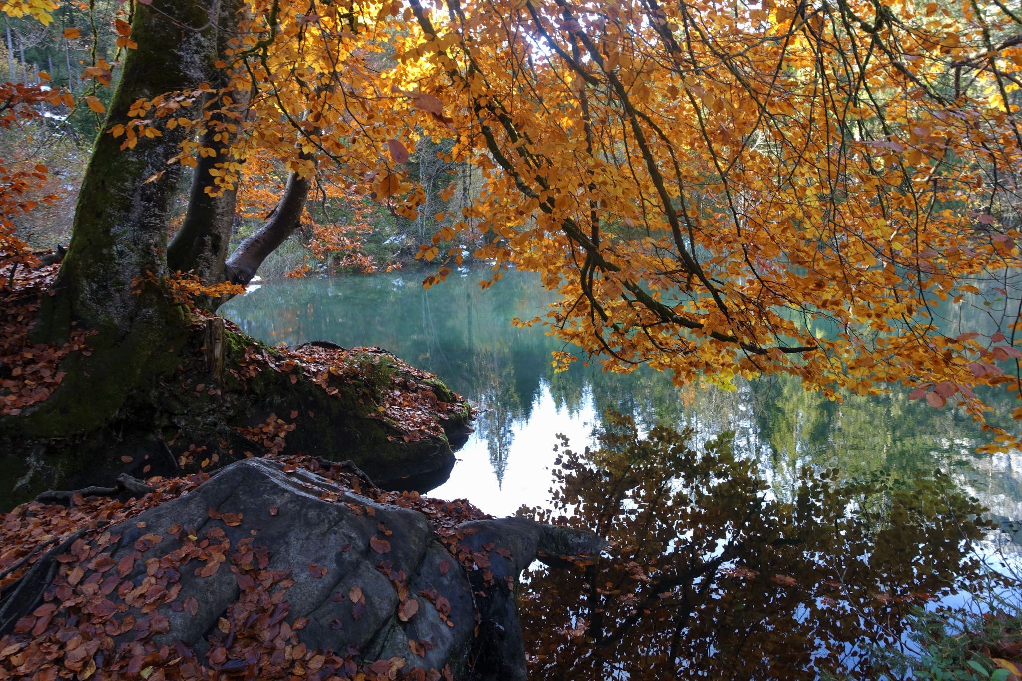 Crestasee, Switzerland