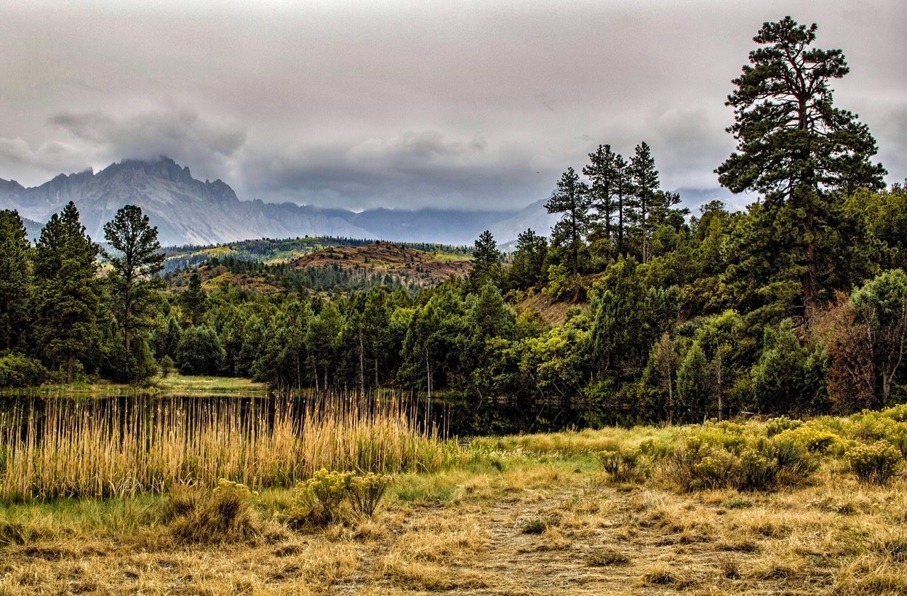 Dallas Creek Road, USA