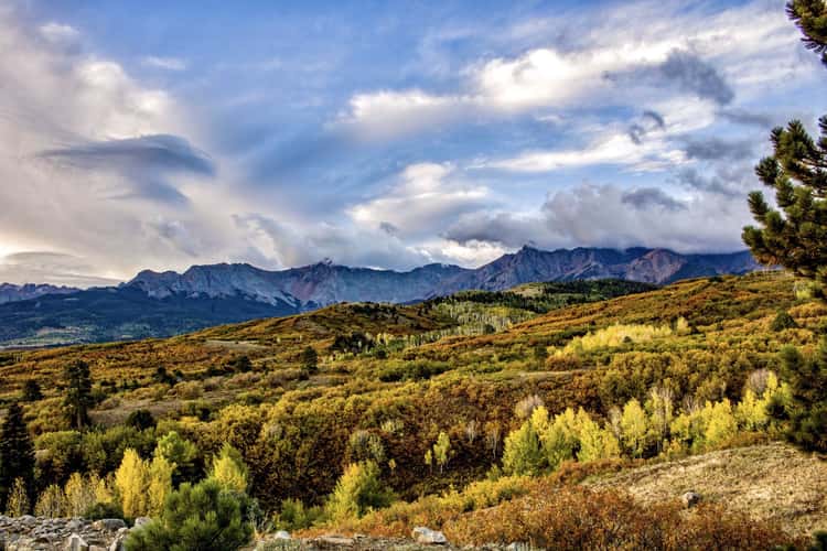 Dallas Divide
