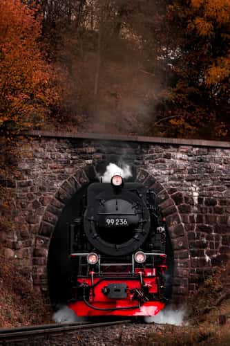 Harz narrow gauge railroad in the Thumkuhlental
