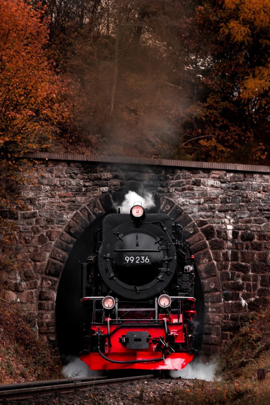 Harz narrow gauge railroad in the Thumkuhlental, Germany