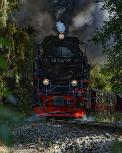Harz narrow gauge railroad in the Thumkuhlental