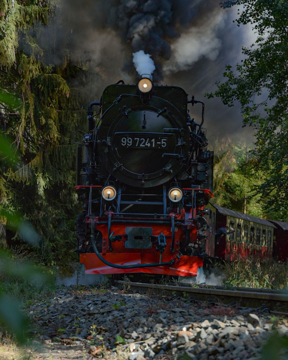 Harz narrow gauge railroad in the Thumkuhlental, Germany