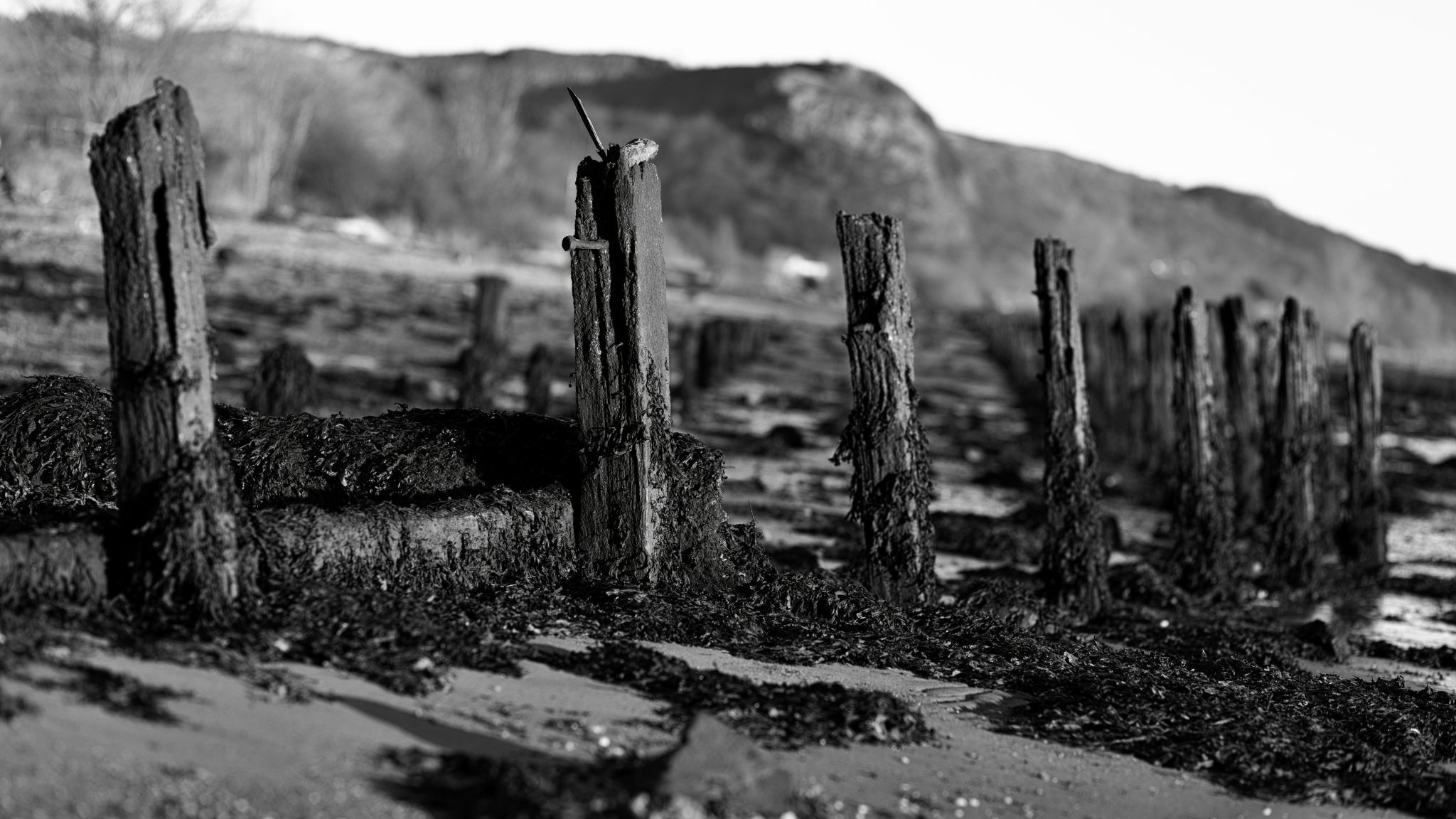 Dunbarton Rock, United Kingdom