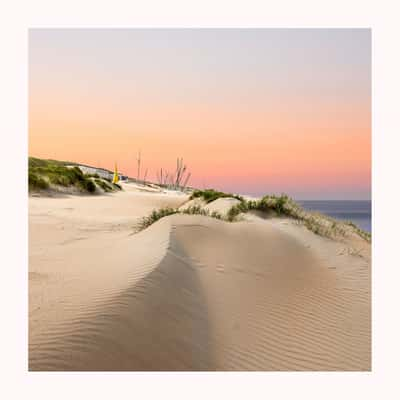 Dunes after sunset, Netherlands