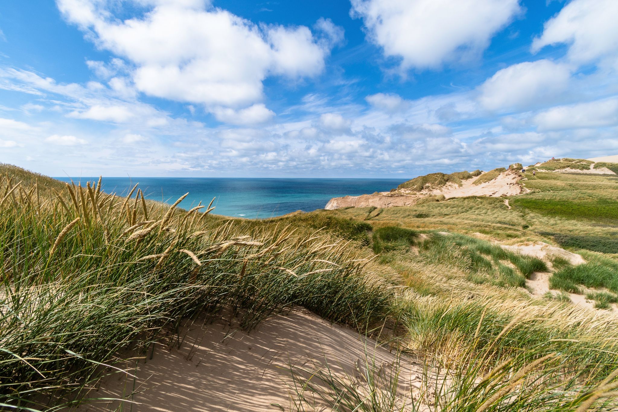 Dunes near Lønstrup, Denmark