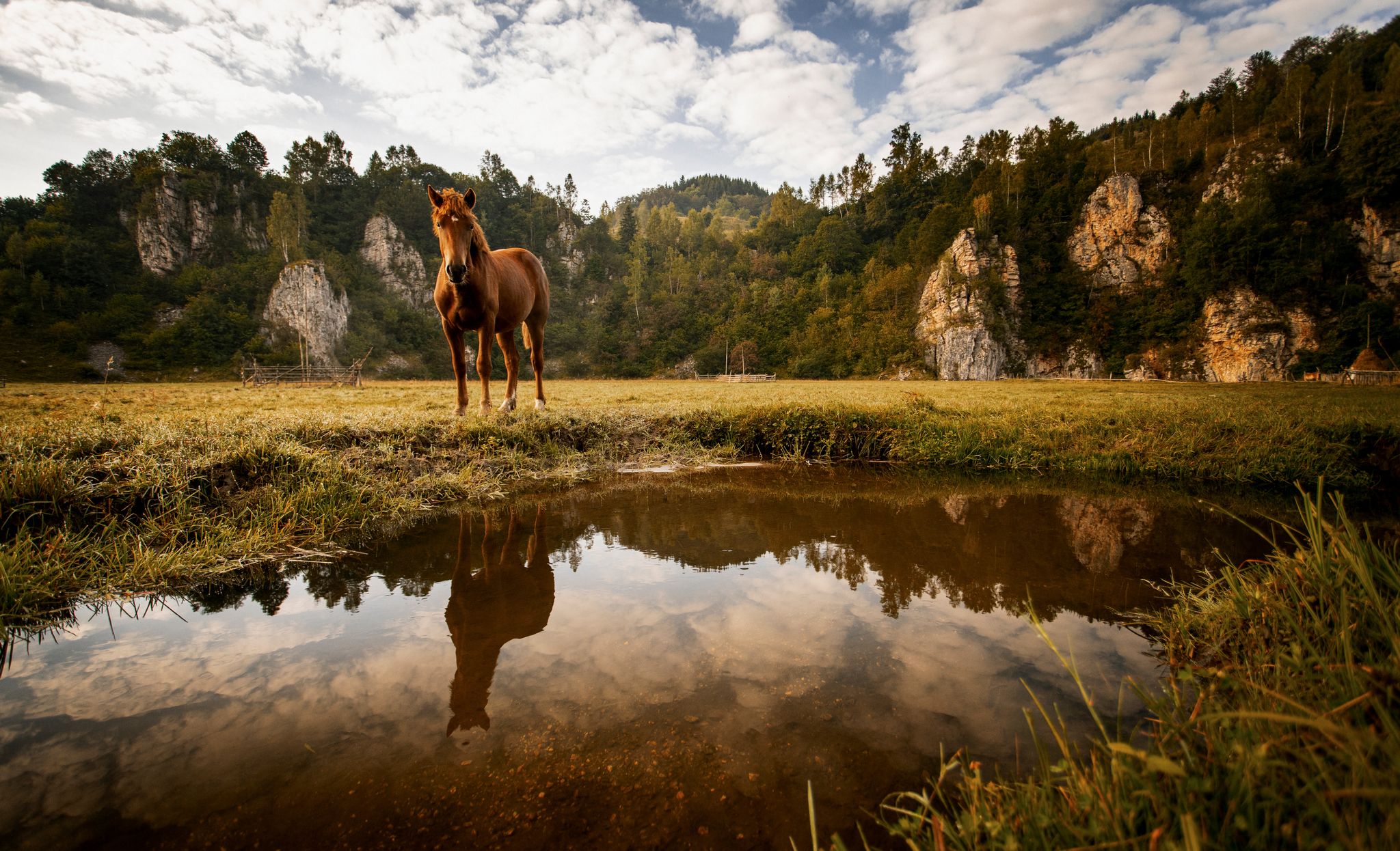 Fundătura Ponorului, Romania
