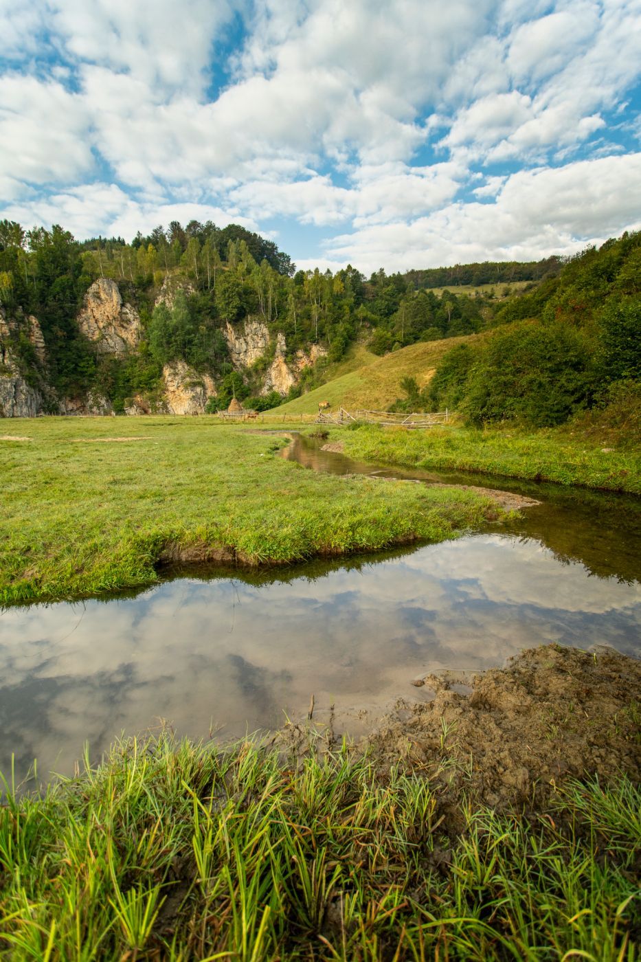 Fundătura Ponorului, Romania