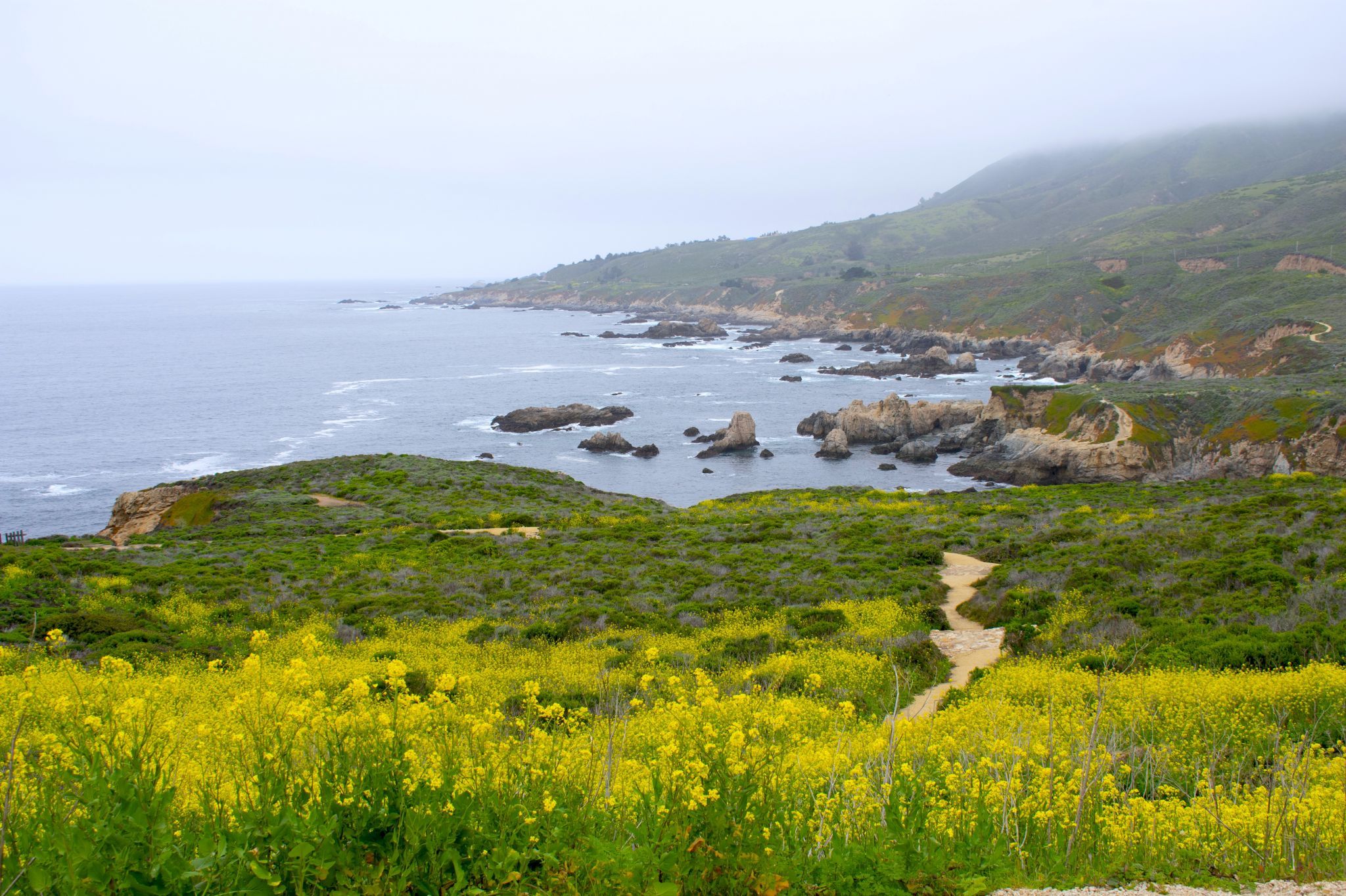 Garrapata State Park, USA