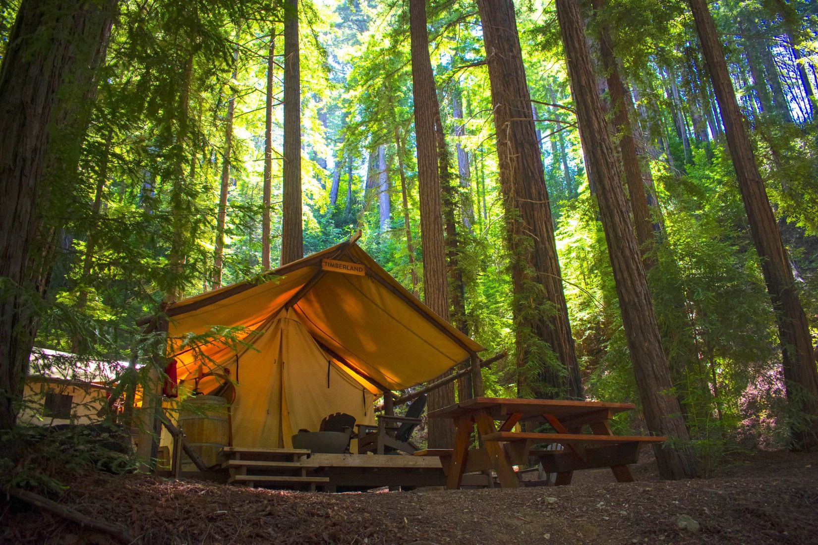 Glamping in the Redwoods, USA