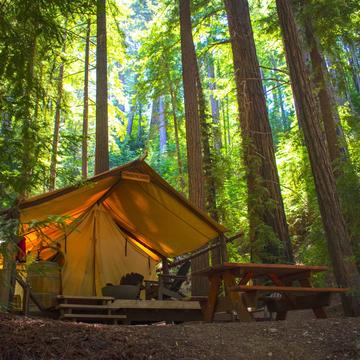 Glamping in the Redwoods, USA