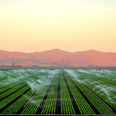 Green Fields, USA