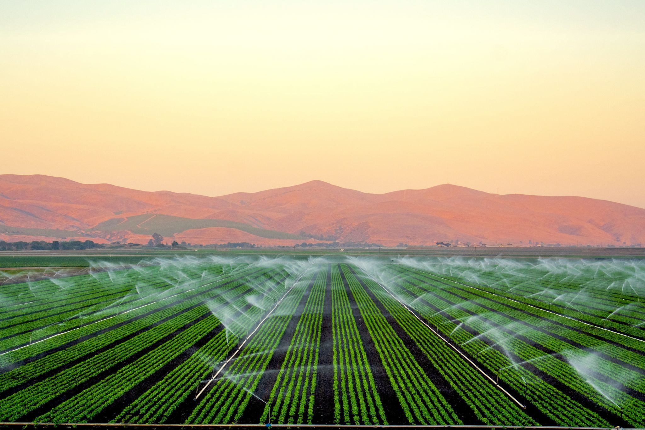 Green Fields, USA