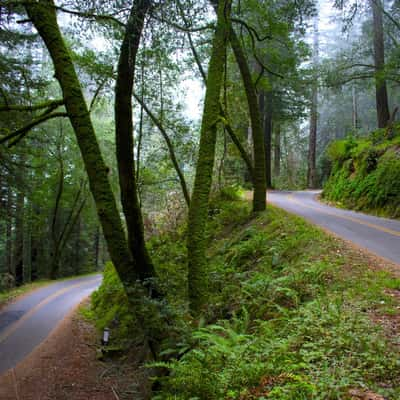 Hairpin Road, USA