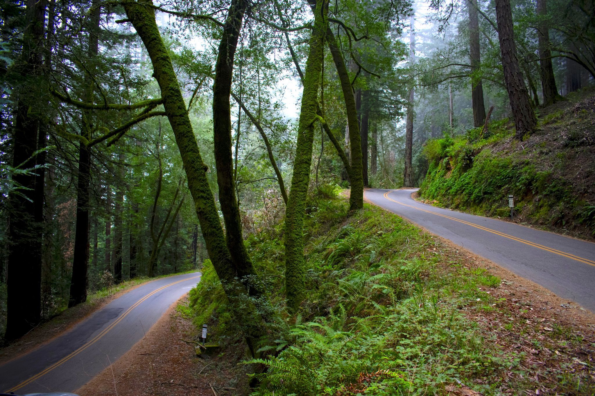 Hairpin Road, USA