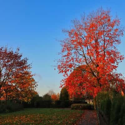 Herbst in Havixbeck, Germany