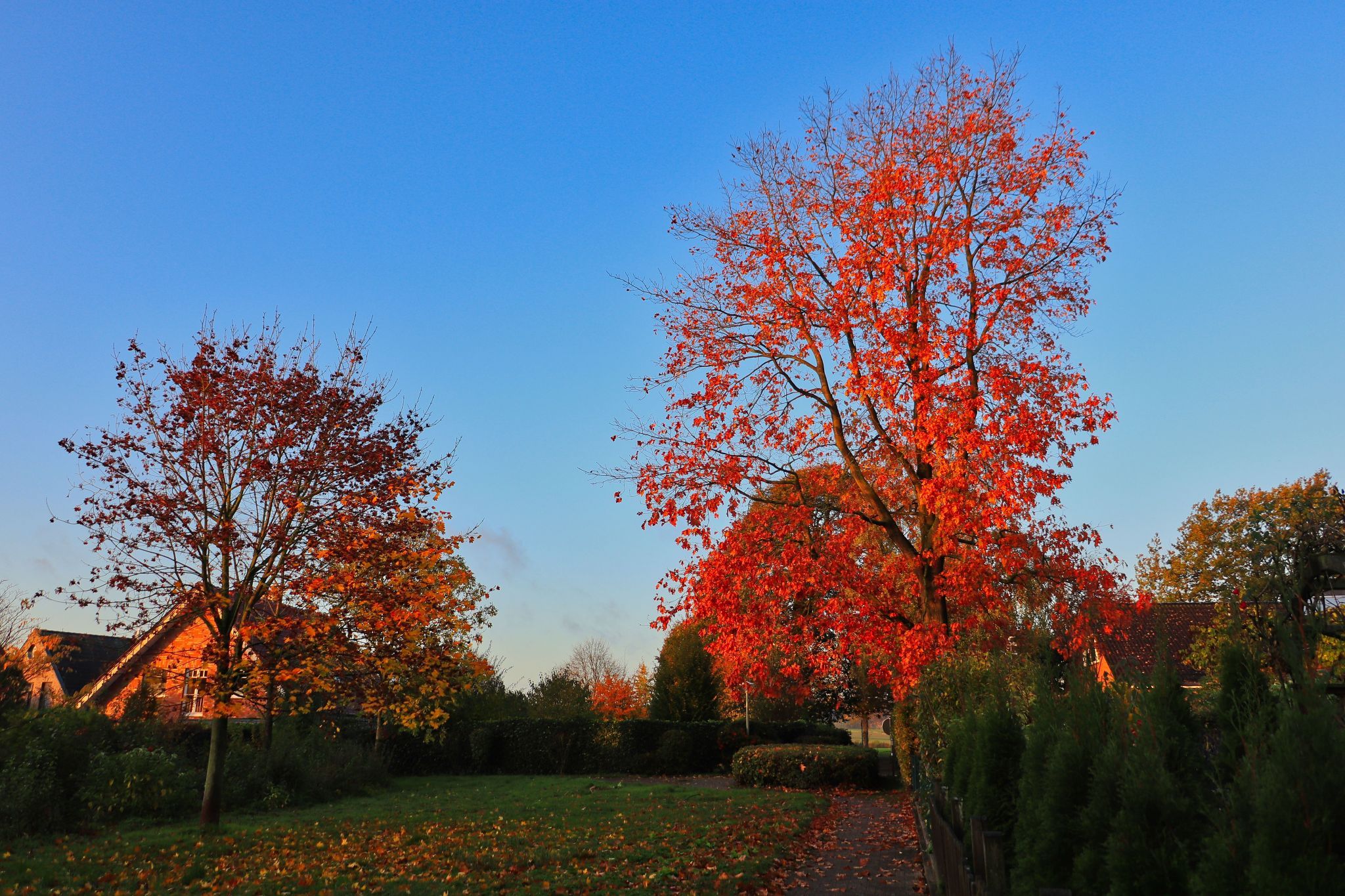 Herbst in Havixbeck, Germany