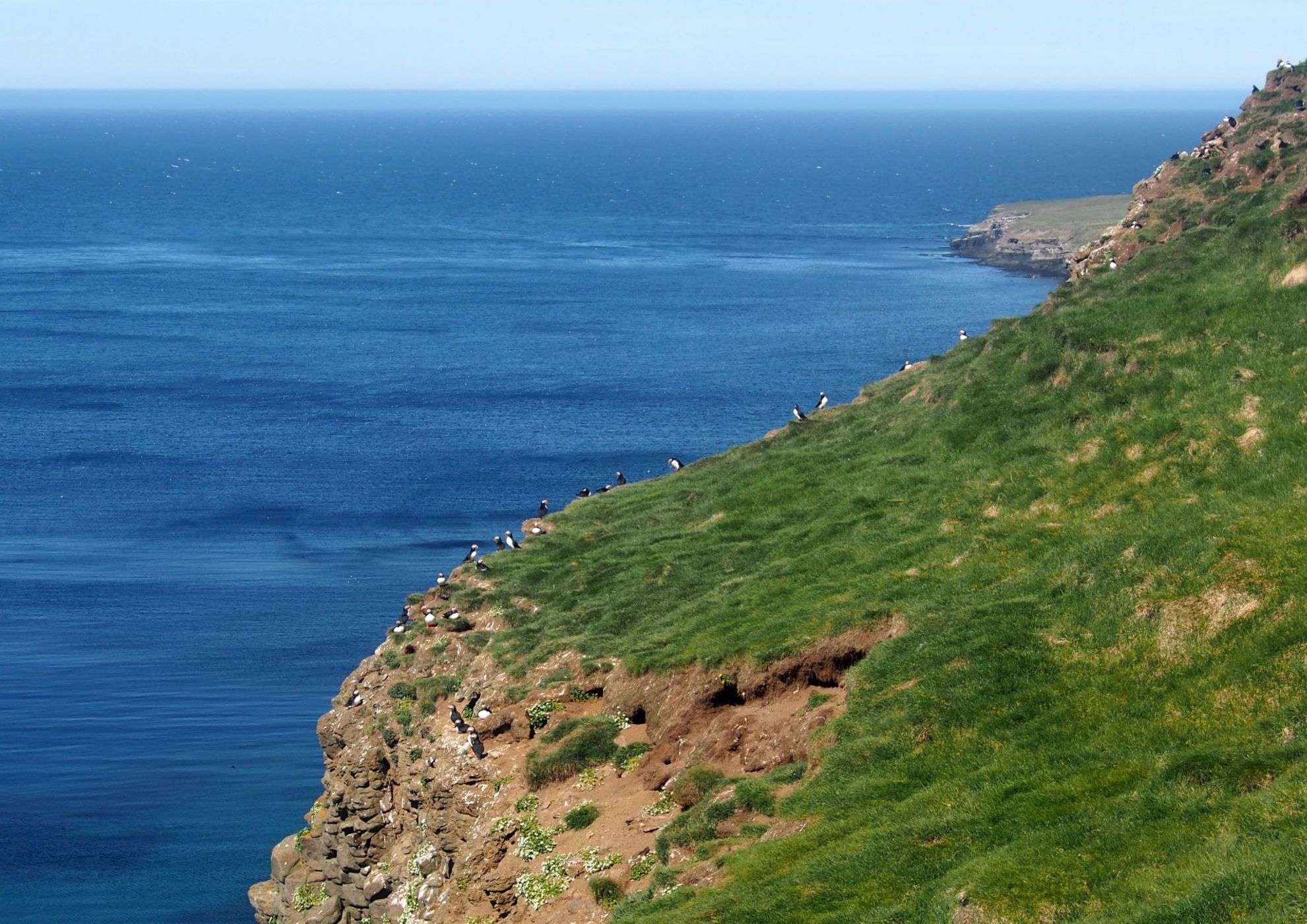 GRIMSEY, Iceland