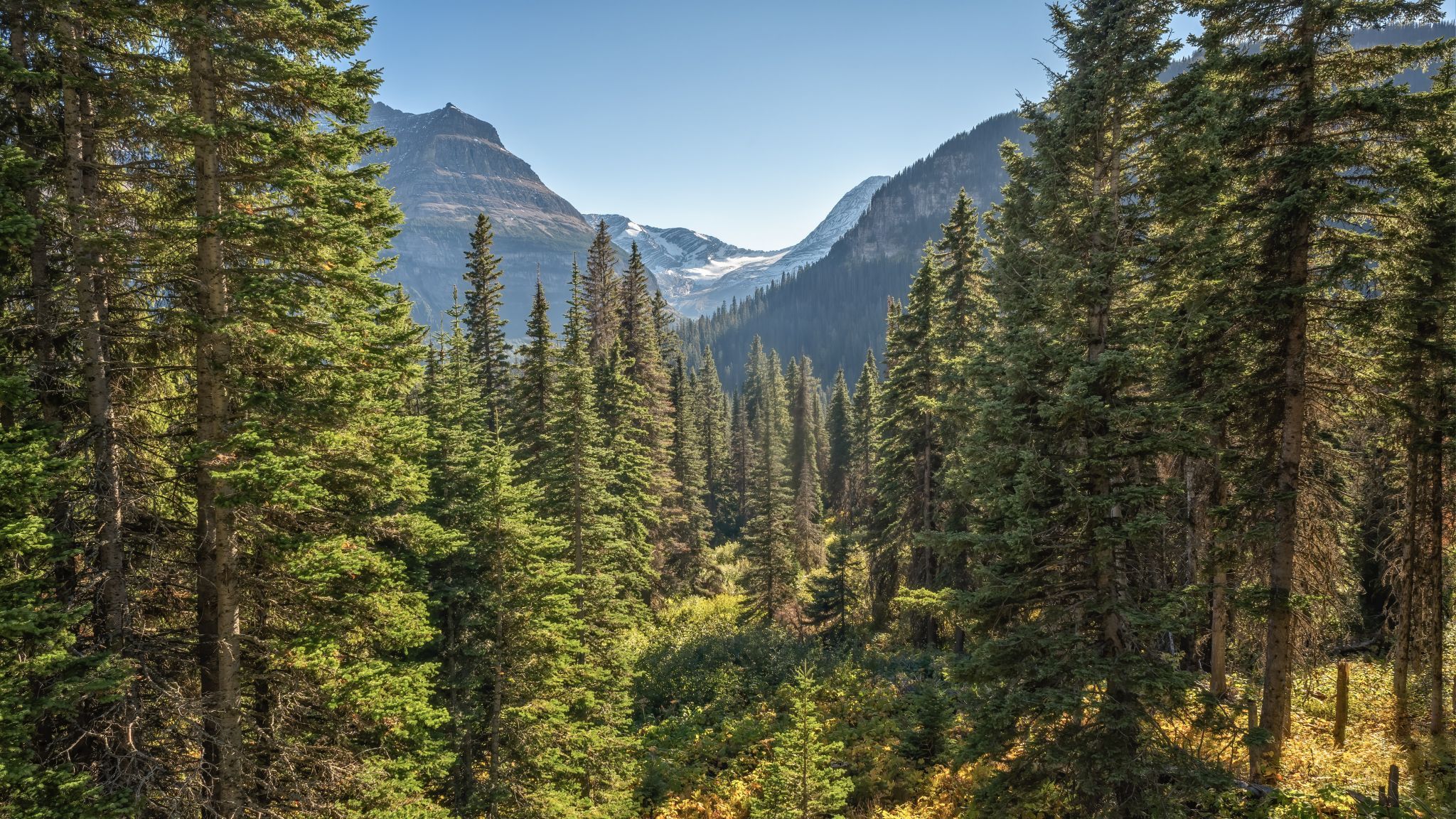 Jackson Glacier, in Glacier National Park, USA