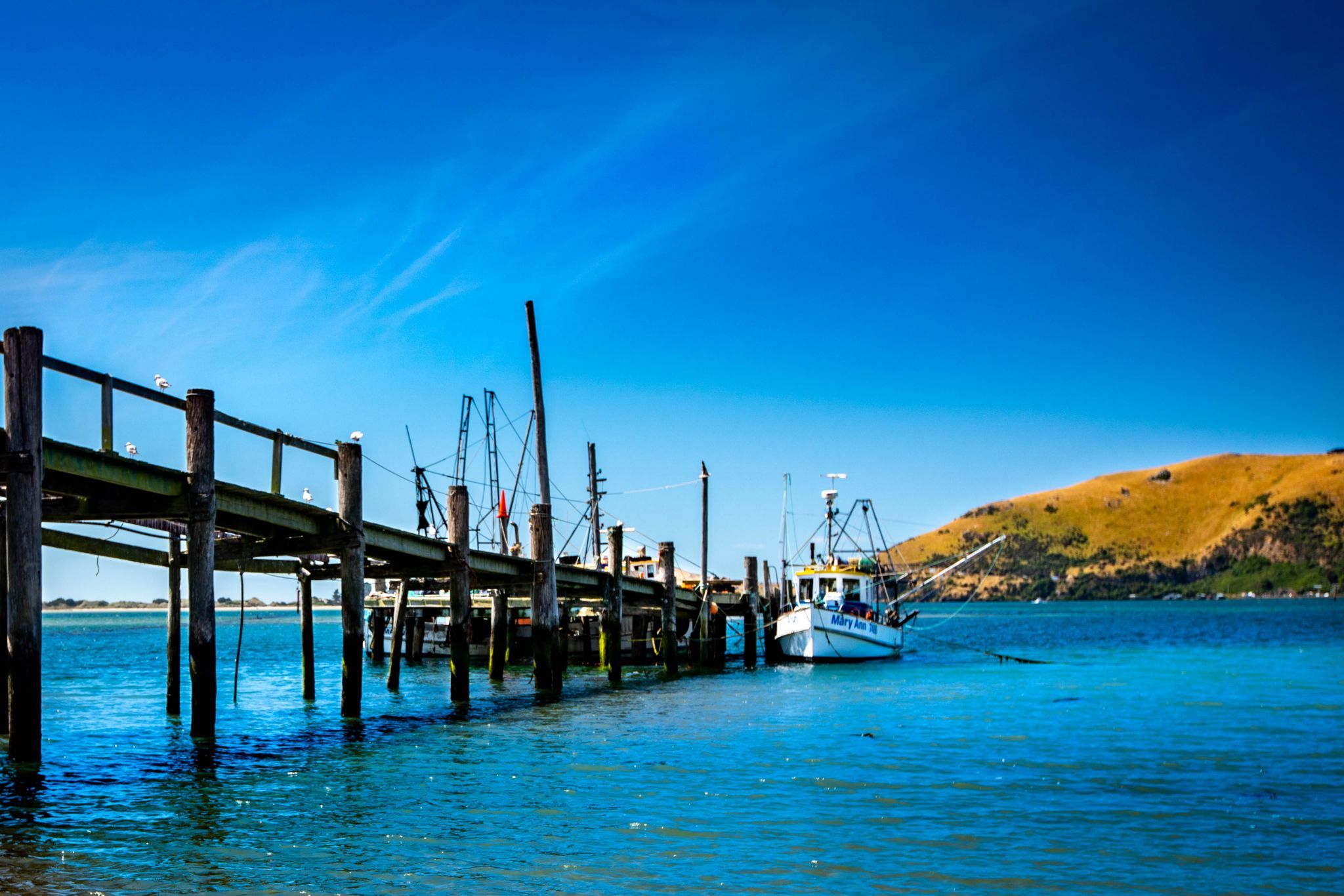 Jetty & fishing boat, Otakou, South Island, New Zealand