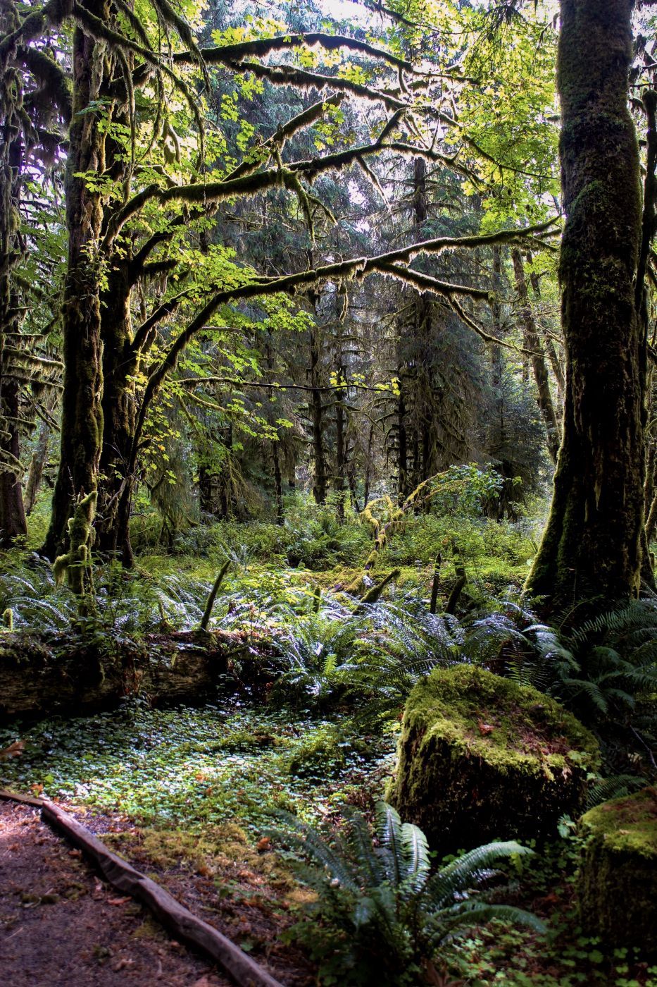 Kestner Creek Trail, USA