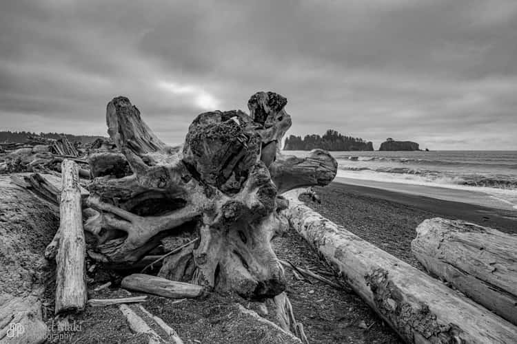 La Push, Rialto Beach