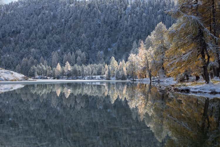 Lai da Palpuogna, Graubünden