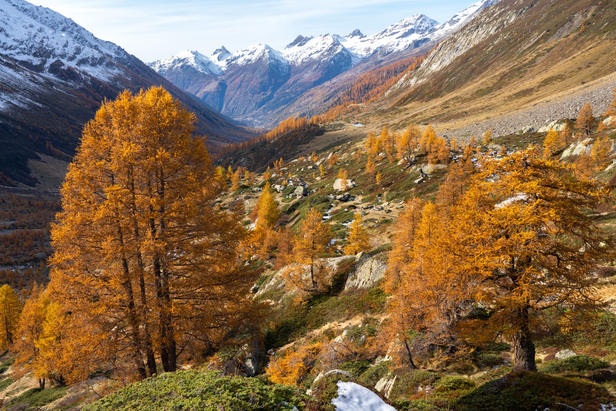 Larch colors in the valley, Switzerland