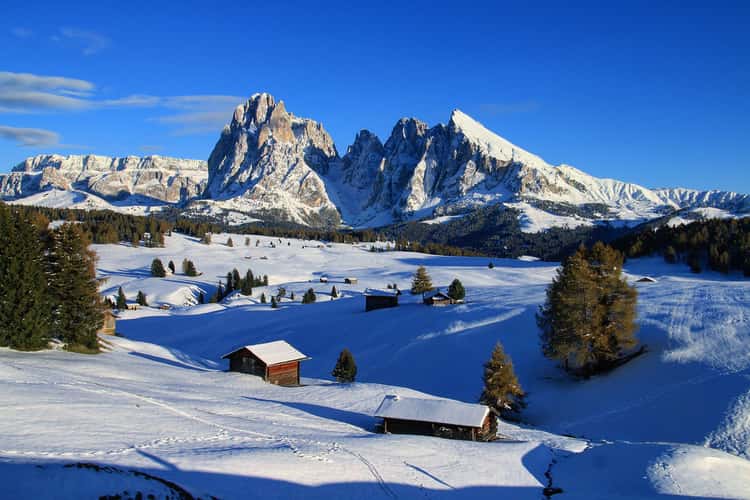 Le'Alpe di Siusi, St. Ulrich - Forcella Sassolungo