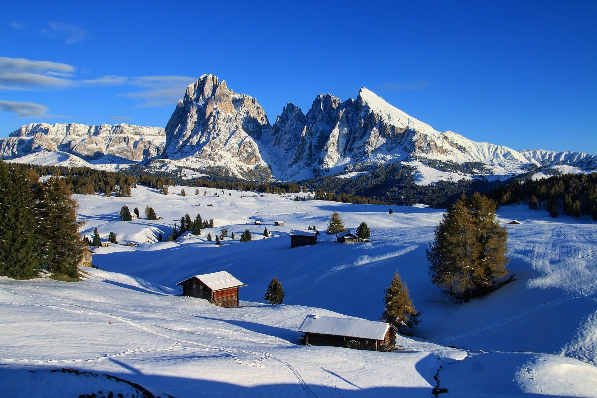 Le'Alpe di Siusi, St. Ulrich - Forcella Sassolungo, Italy