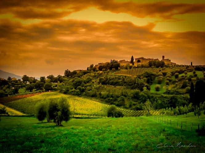 Località Sant'Antimo, Montalcino, SI, Italia