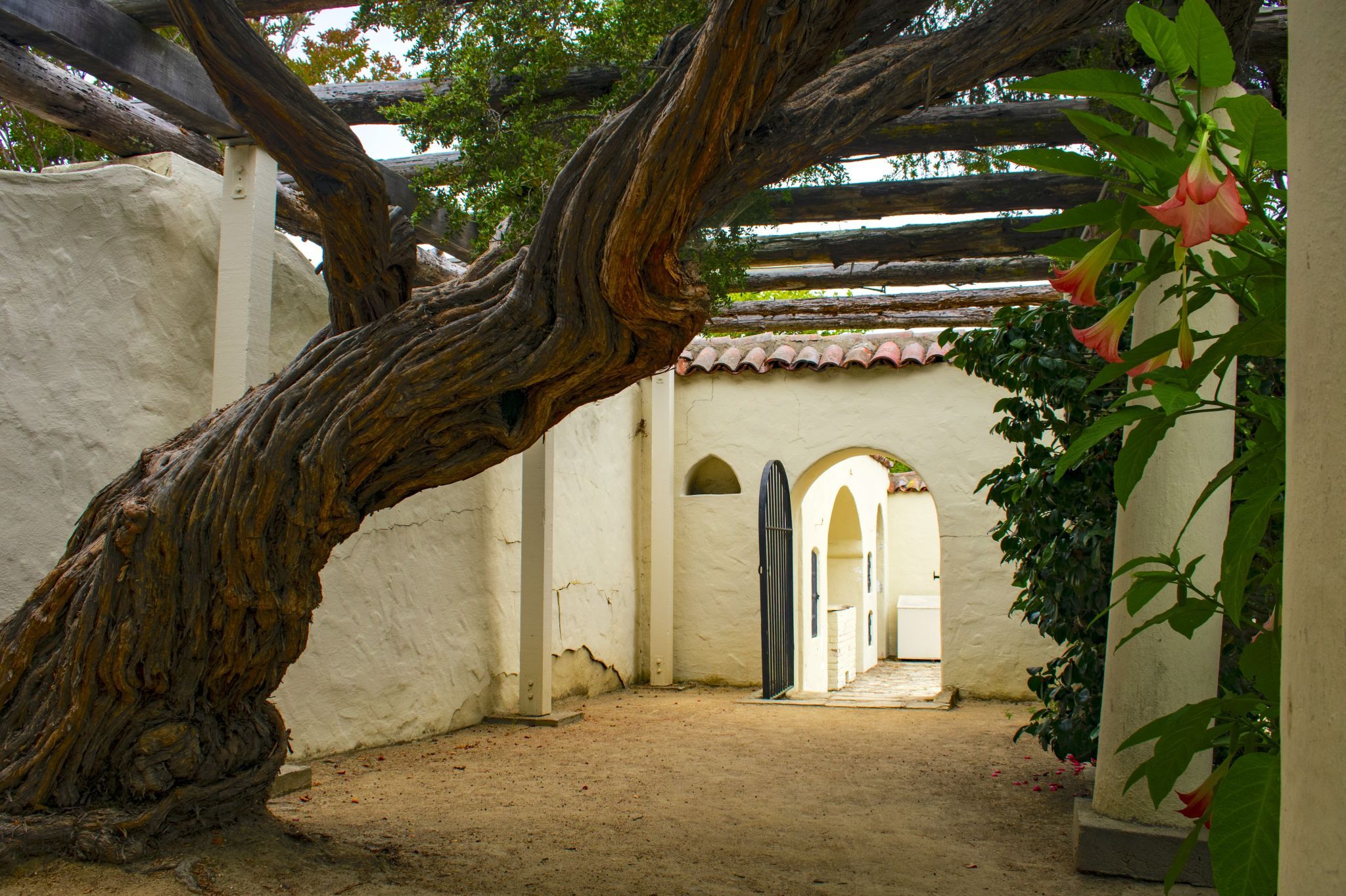 Memory Garden, USA