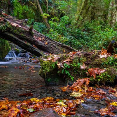 Merriman Falls, USA