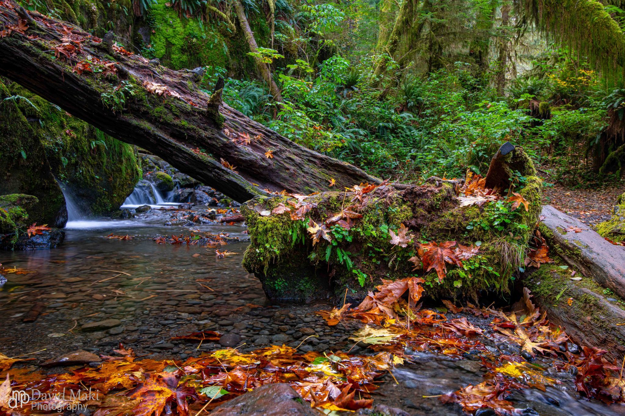 Merriman Falls, USA