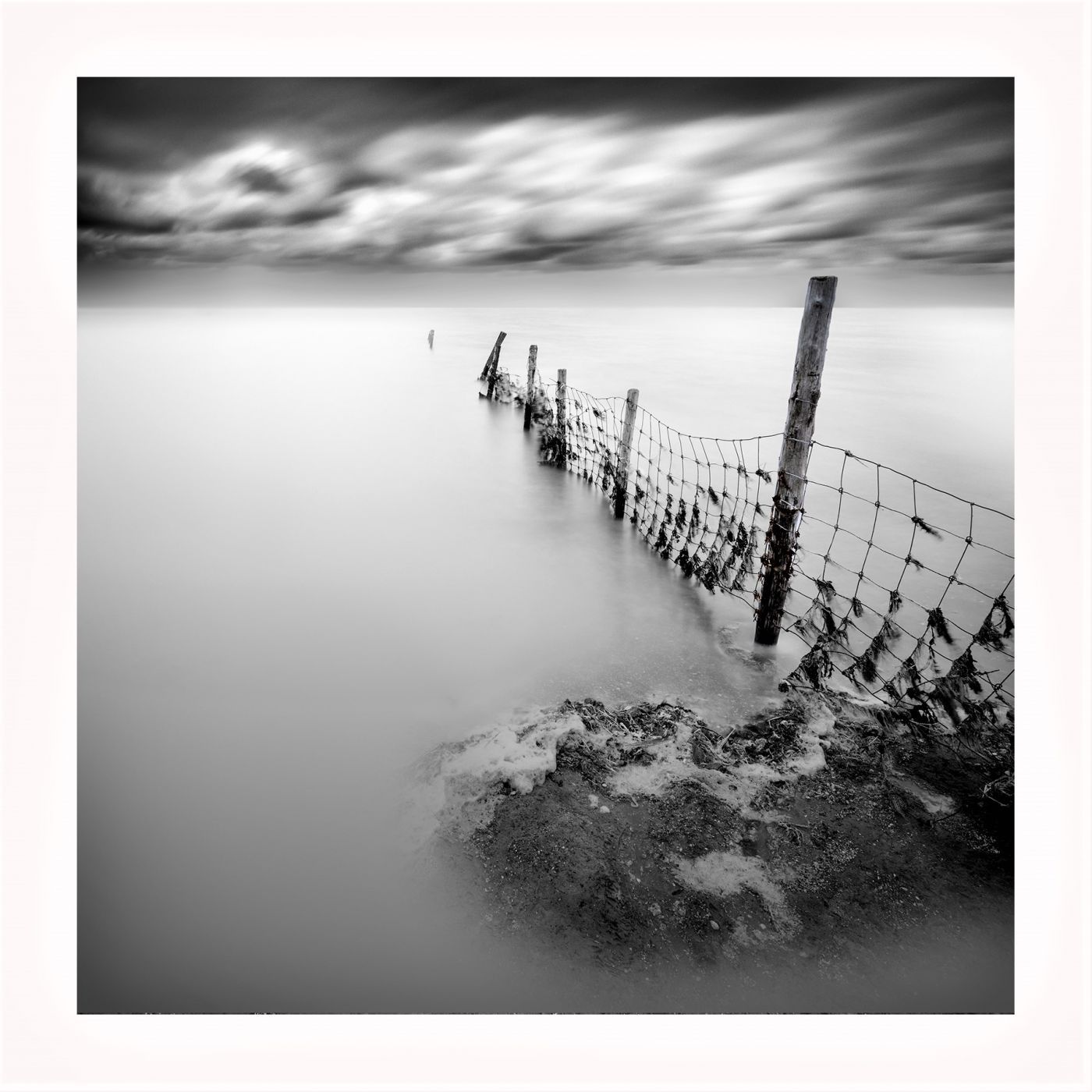 Moddergat at the Dutch Mudflats, Netherlands
