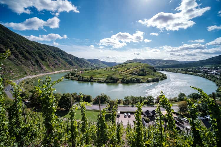 Lower panoramic view of Moselbogen, Bremm