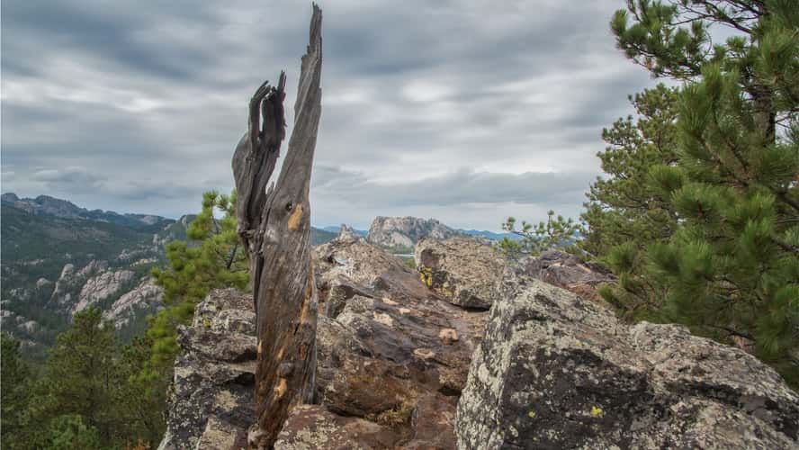 Mount Rushmore, from Norbeck Overlook