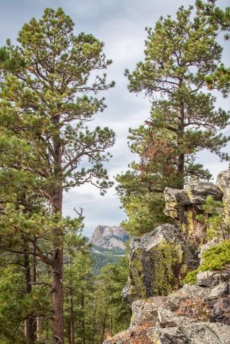 Mount Rushmore, from Norbeck Overlook