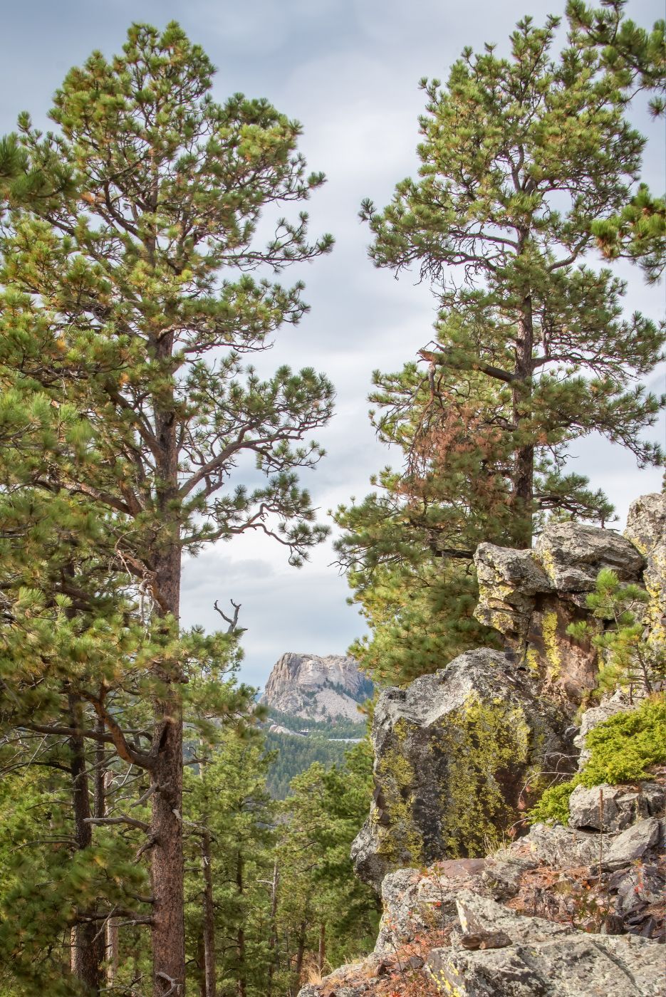 Mount Rushmore, from Norbeck Overlook, USA